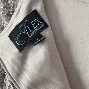 Size 10 Alex Evening Gown/ worn once.